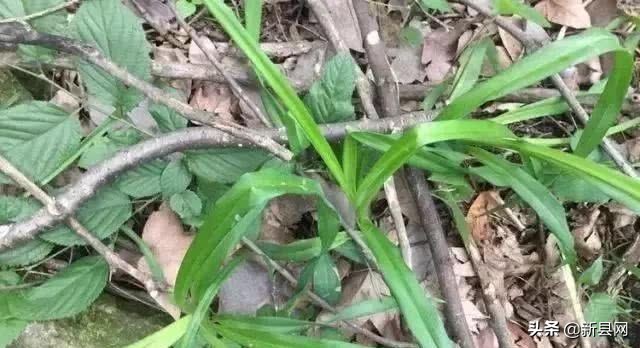 新县毛铺：奇险峻秀黑河谷