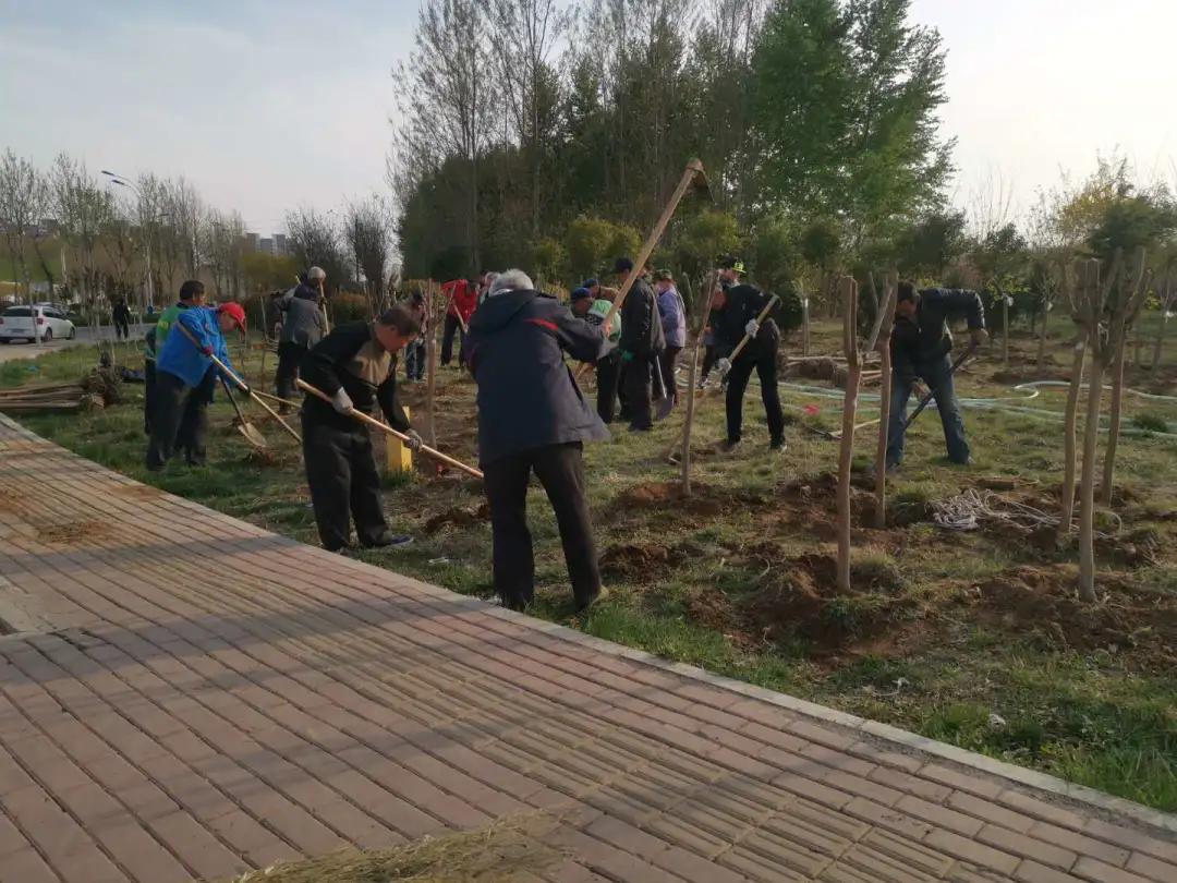 花团锦簇的峰峰是怎样炼成的？是时候告诉你真相了