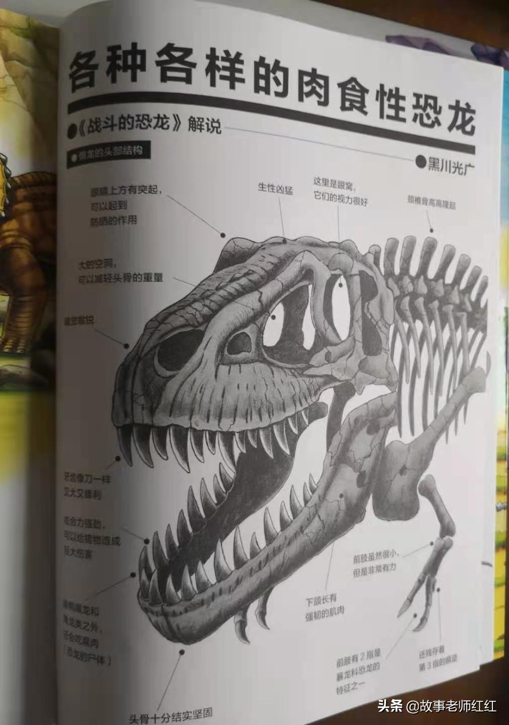 3-6岁儿童经典绘本恐龙世界,关于恐龙的绘本《恐龙世界探秘》