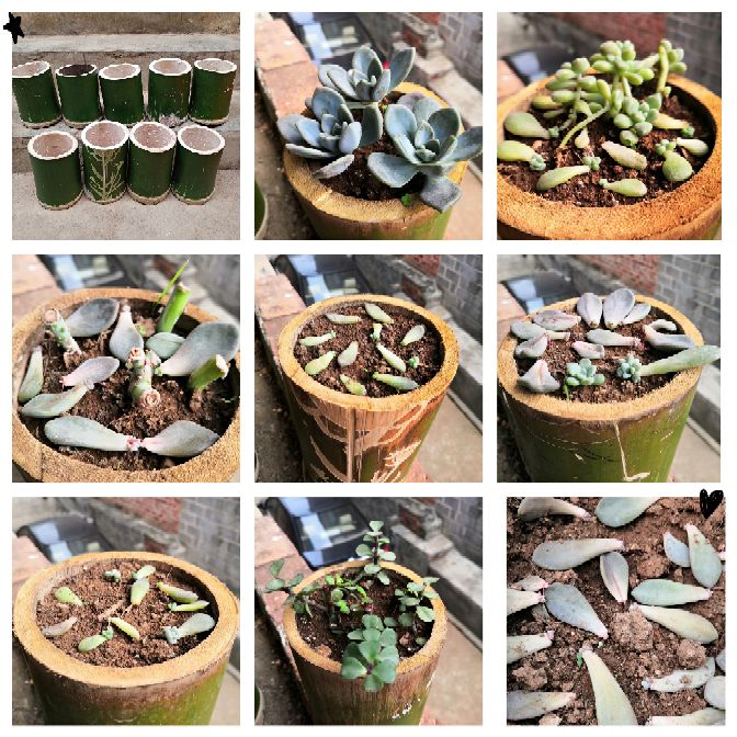 自制花盆营养水的方法,自制露台花盆土配方大全