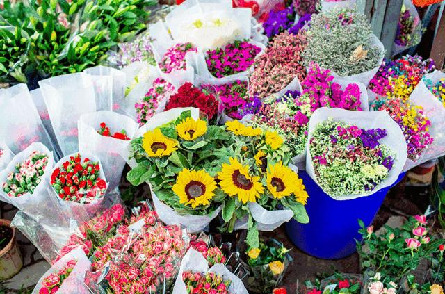 逛遍安徽各个市,安徽省马鞍山附近的大型花市