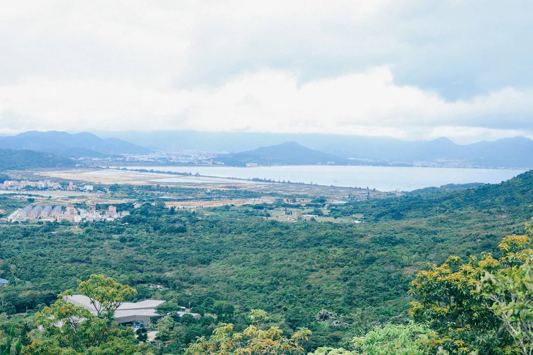 深圳值得去的地标,深圳值得去的景点排行榜