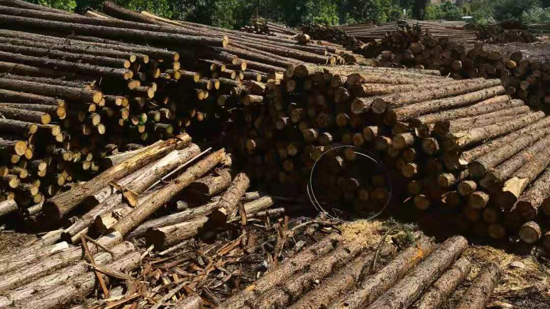 武汉防腐木地板价格,武汉防腐木批发报价