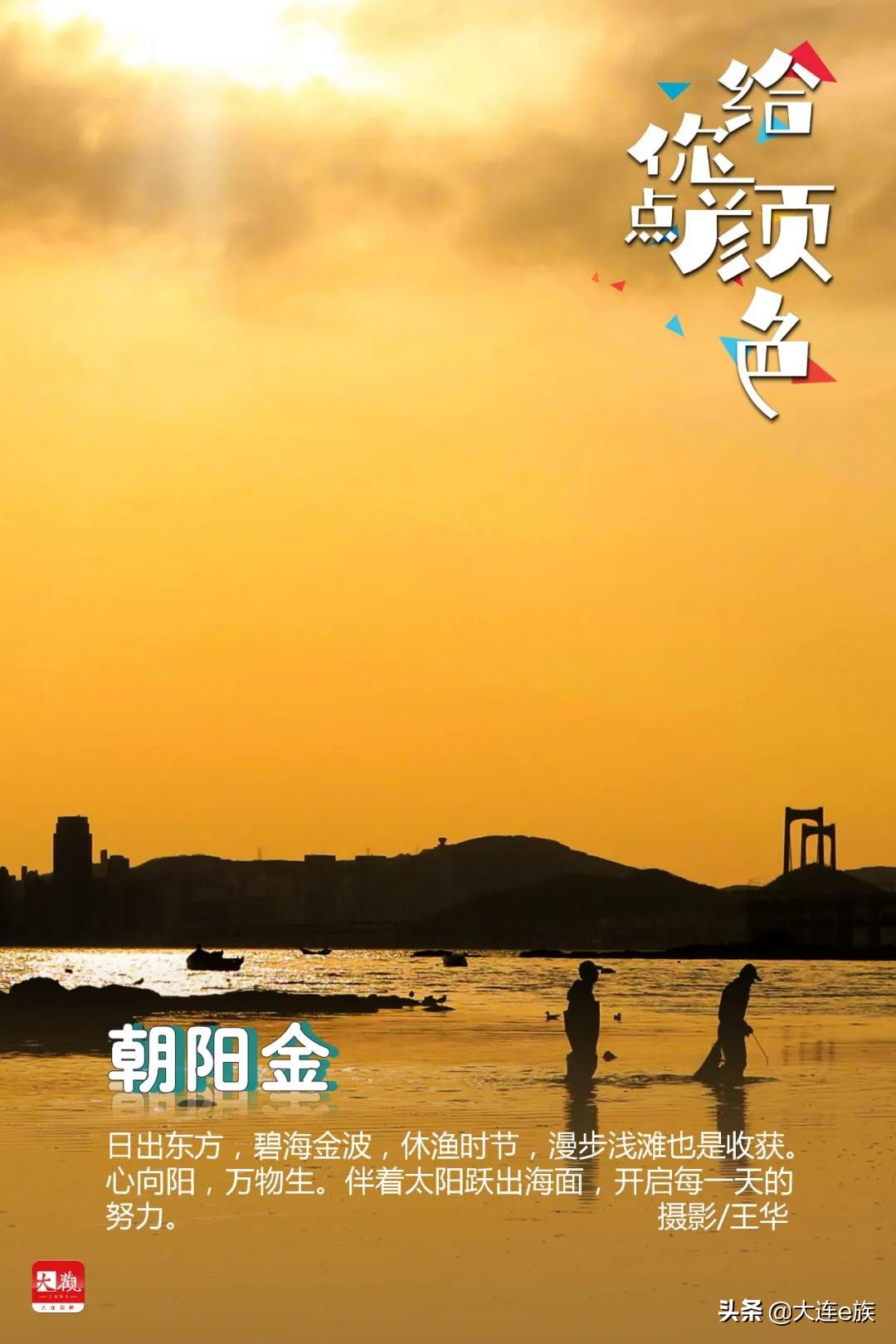 大连色卡,大连给貂皮改色