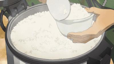 大米测评哪个最有营养,真正好吃又健康的大米