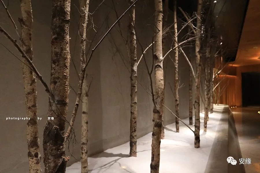 小赌王的炼金术：斥资11亿打造梦之神，澳门最喷血的娱乐巨献