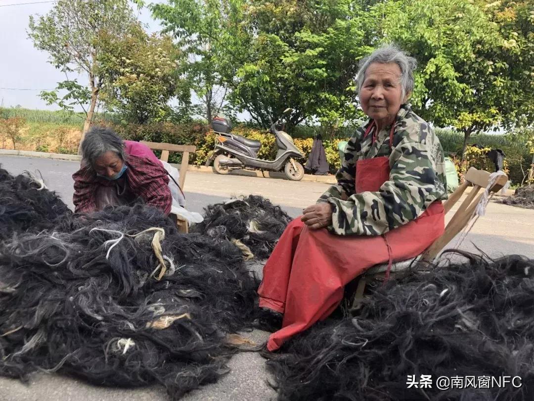 假发之都许昌版,假发之都许昌占比