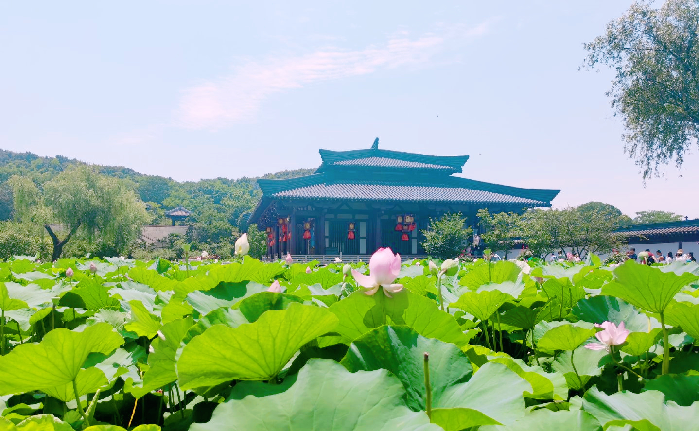 合肥为何称为三国战城,为什么说合肥也是三国故地