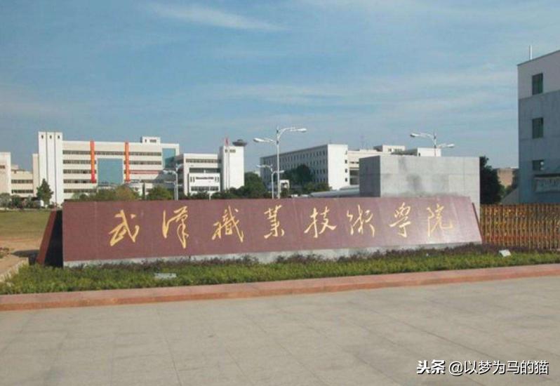 就业比本科还要好的四所专科院校,就业很好的六所专科院校