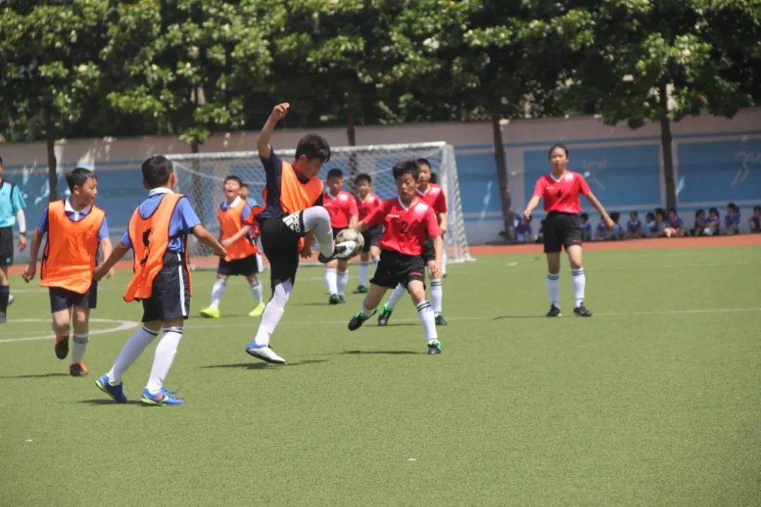 枣庄市立新小学第三届“校长杯”足球联赛圆满落下帷幕