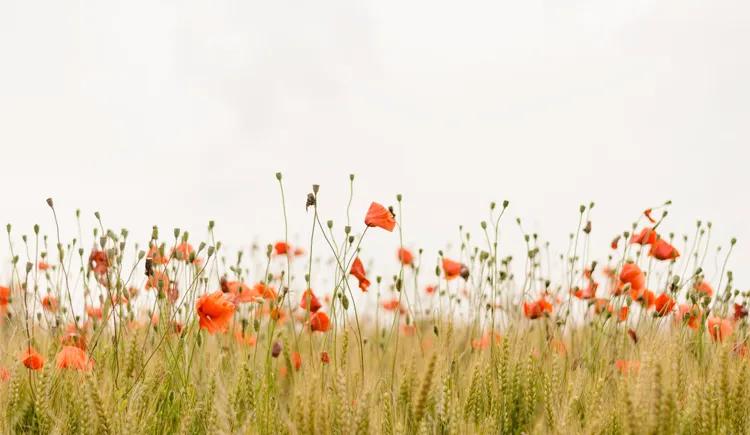 想挽回前任可以挽回吗,想挽回前任后来不想挽回了