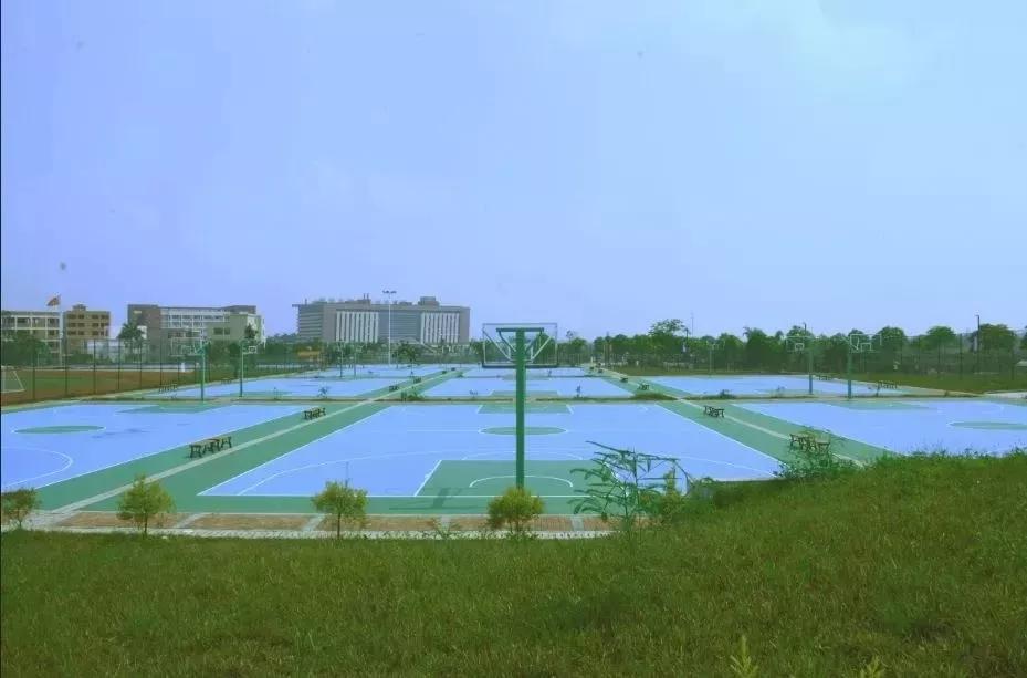 广东机电职业技术学院中专分数线,广东机电职业技术学院录取分数线