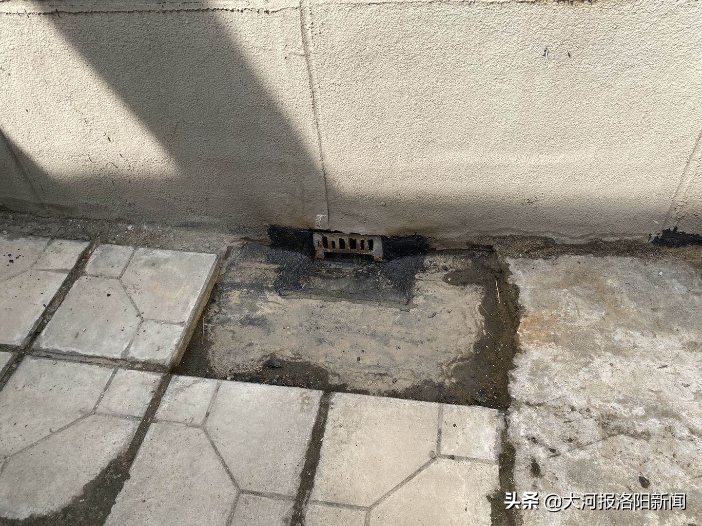 顶楼漏水屋内墙纸发霉,洛阳东方今典天汇中心居民:太“闹心”