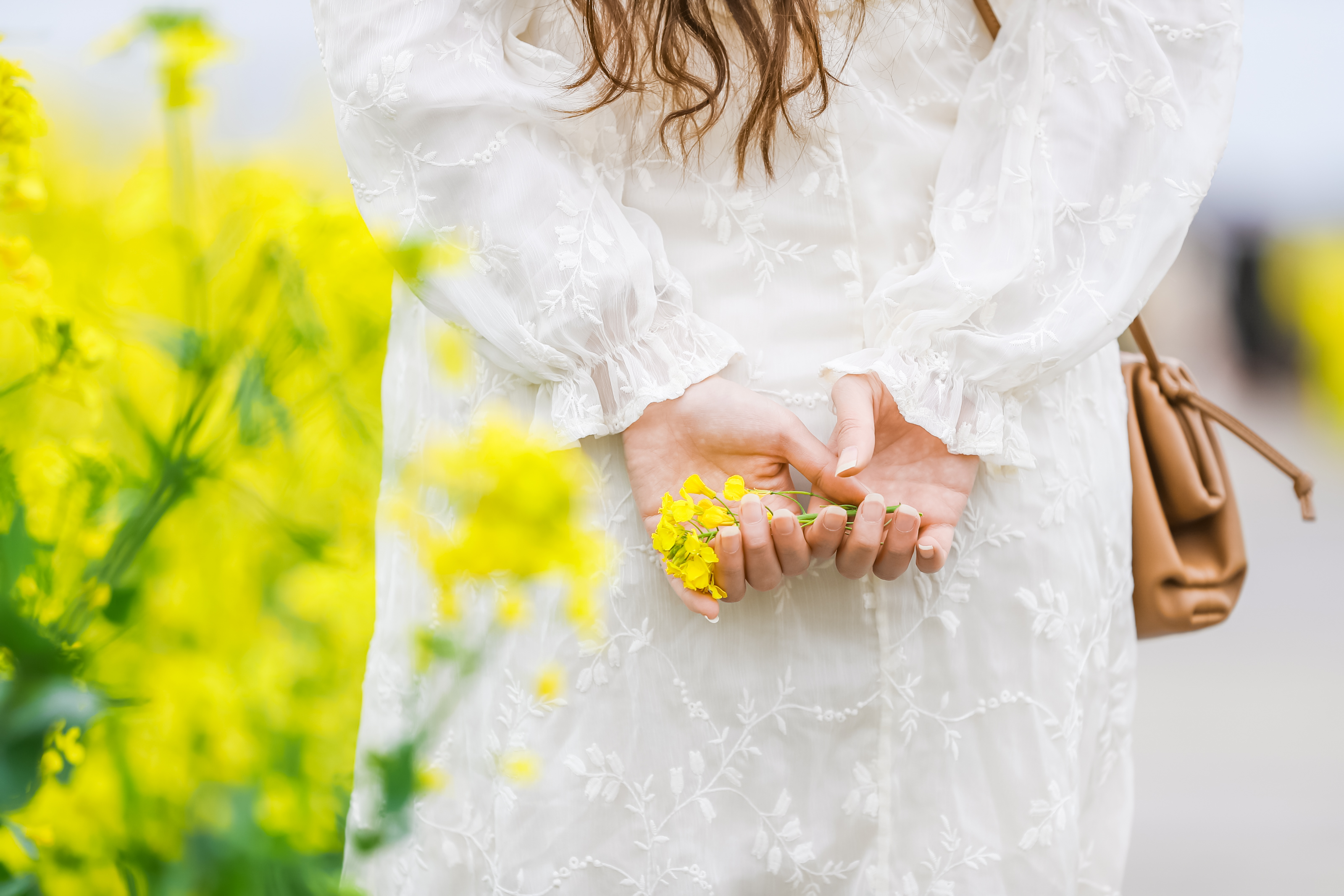 兴化看油菜花一日游,兴化千亩油菜花旅游