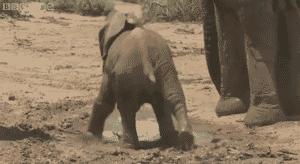 他们被杀之后，依然在爱你