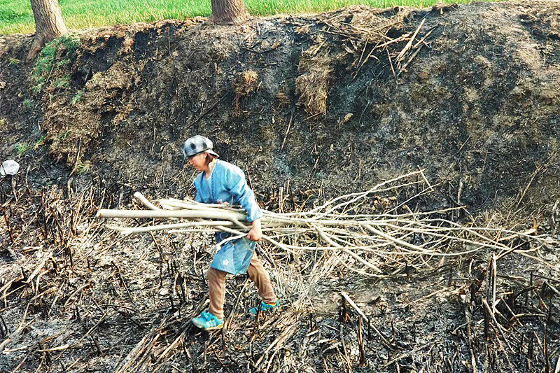 废木回收能做吗,废木回收后可以做什么原料