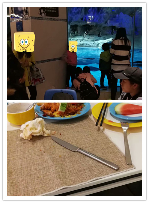 广州长隆海洋王国和珠海海洋王国,广州长隆海洋王国和珠海长隆