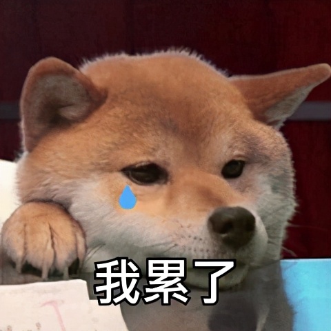 南方蟑螂,广东蟑螂很担心你是什么梗