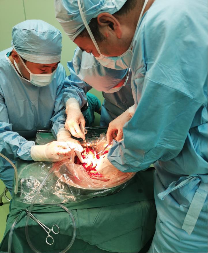 外科手术珠穆朗玛峰,肝胆外科的珠穆朗玛峰