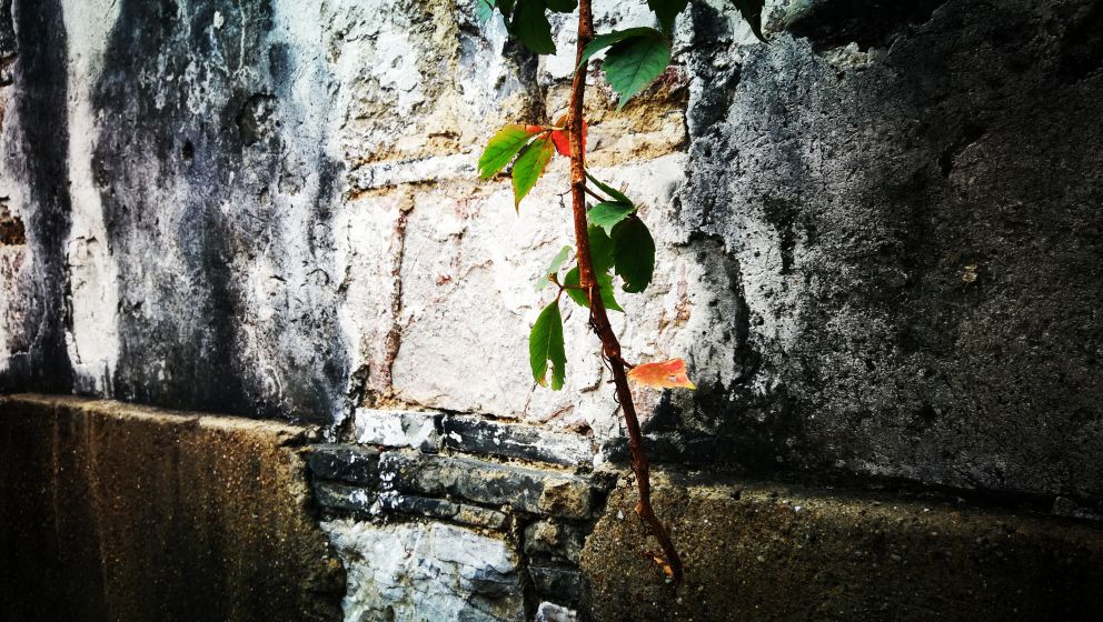 夫子庙和老门东靠得近吗,夫子庙与老门东之间距离