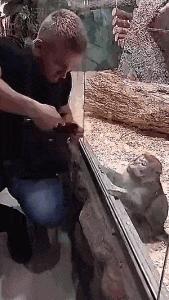 小萝莉搞笑图片,小萝莉的搞笑段子