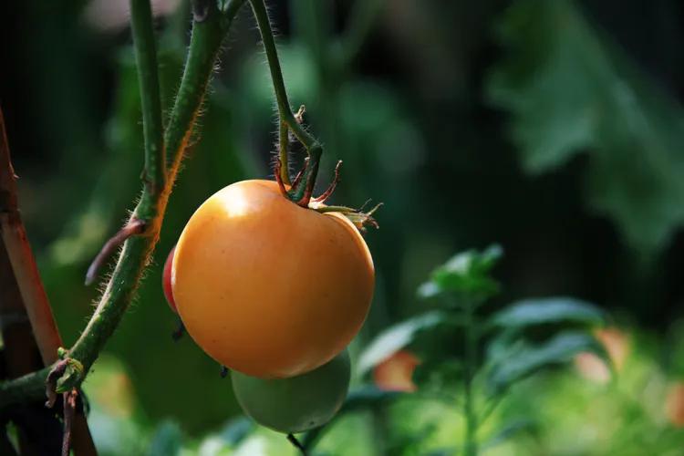 尼康入门单反,单反快速入门攻略