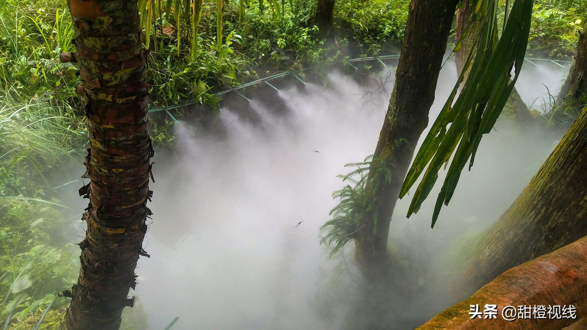 洪雅七里坪温泉小镇,洪雅县七里坪度假区管委会