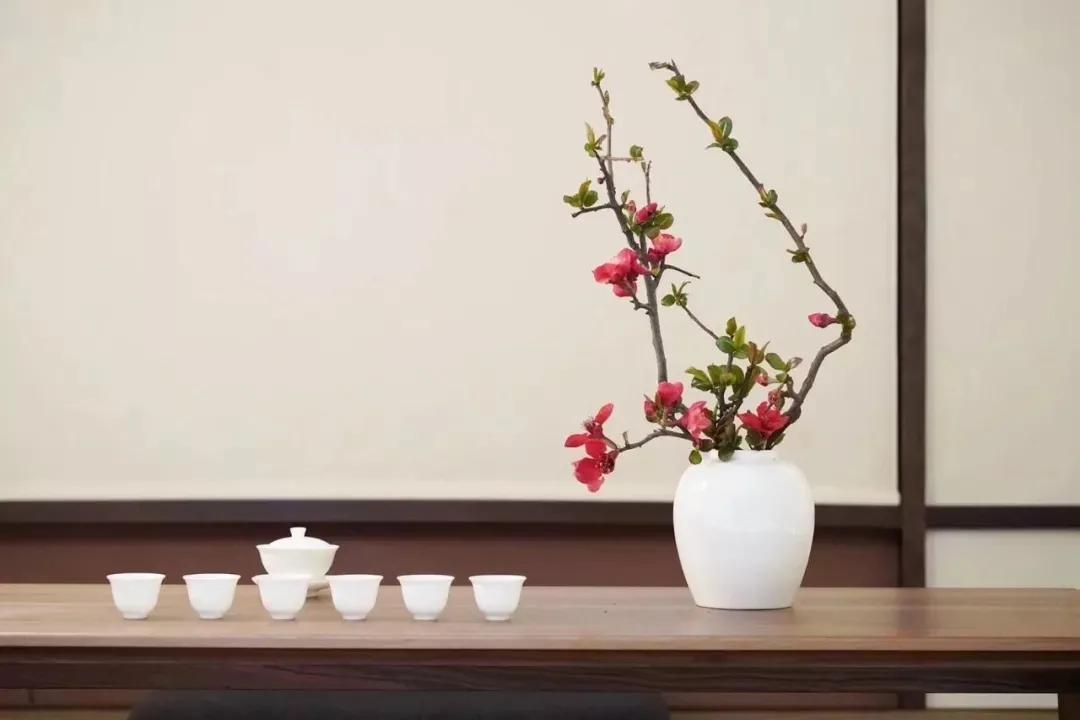 红茶绿茶白茶普洱茶哪个口感好,乌龙茶绿茶红茶白茶哪种好