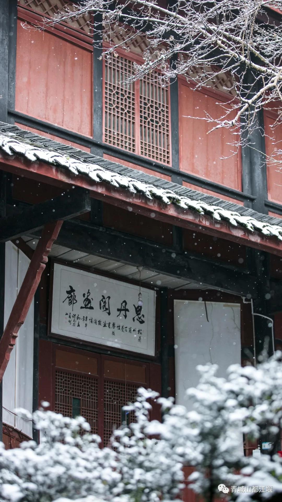 无雪不成冬,都江堰玩雪一日游