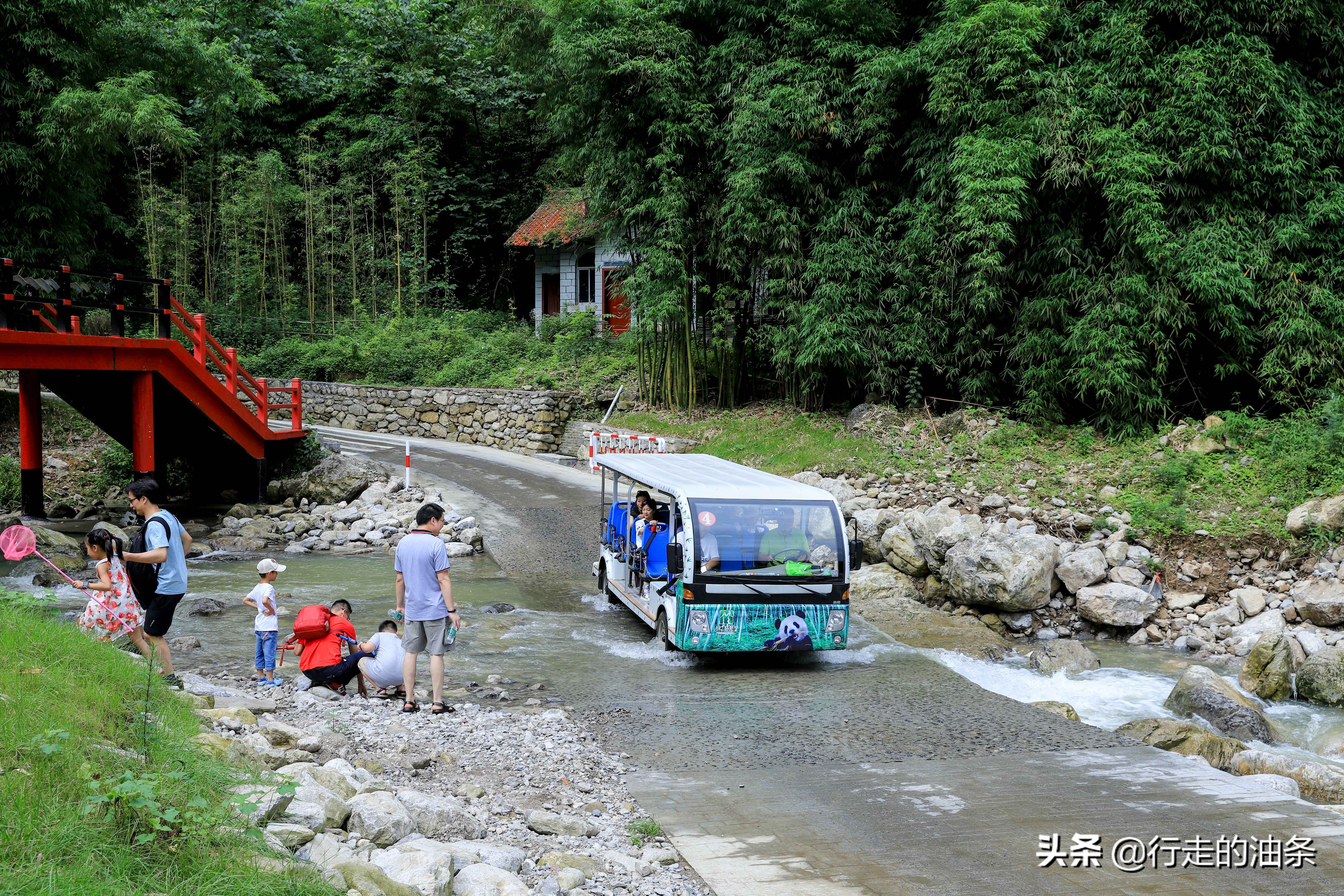 三峡竹海秭归,秭归三峡竹海