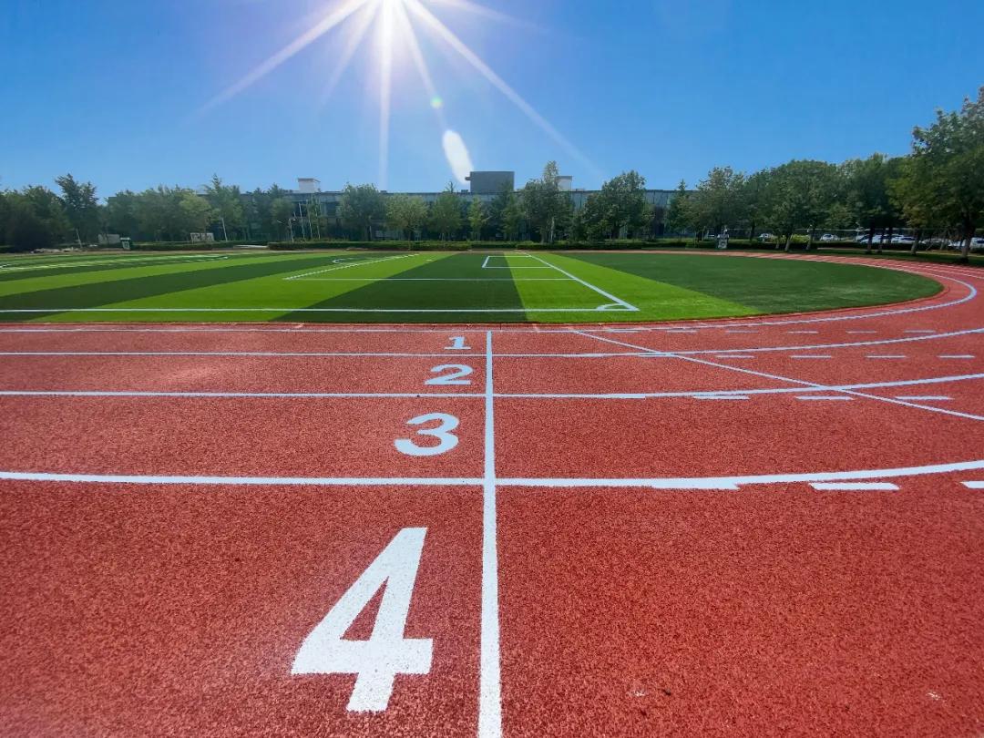 青苗国际双语学校海淀学费,北京青苗双语国际学校怎么样