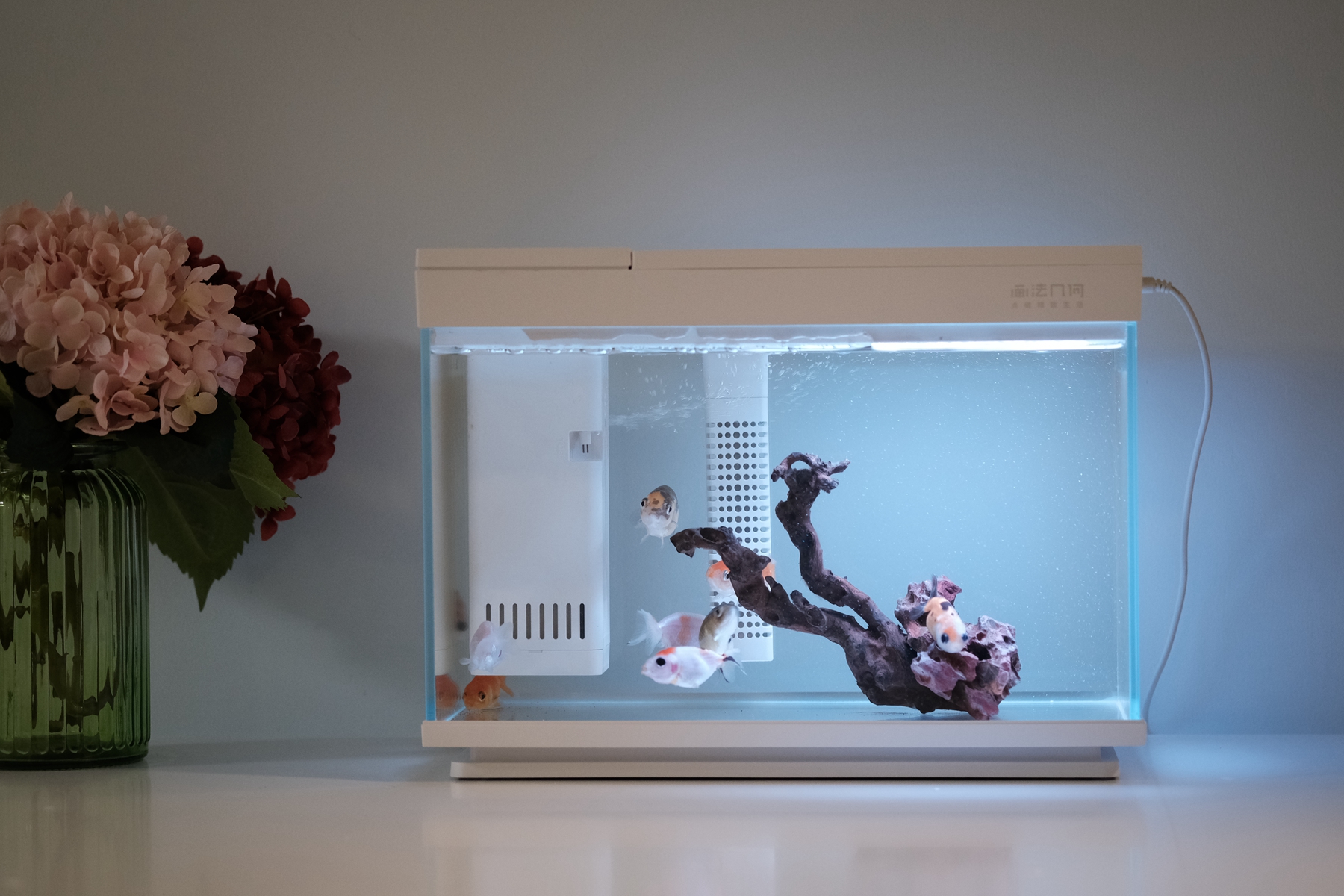 画法几何鱼缸造景,简易鱼缸几何画法