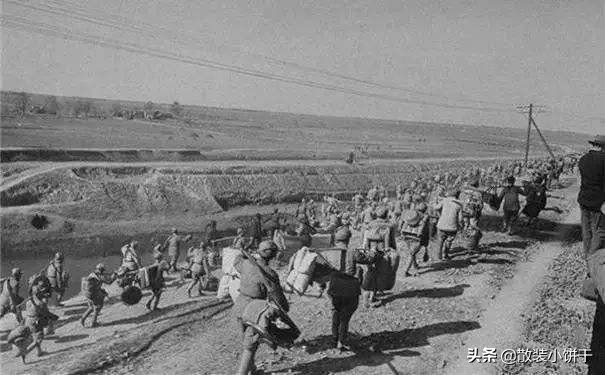 终随松柏到冰霜,终随松柏到冰霜完整版