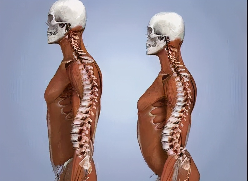 抗衰老预防垮脸,抗皱抗衰去细纹有哪些