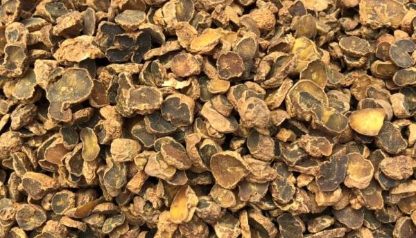 中药炮制方法煨法的研究,中药炭炮制方法