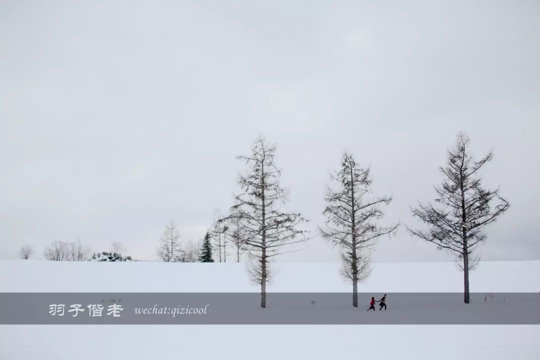 老实说，这一趟北海道就是为了拍好看的照片去的