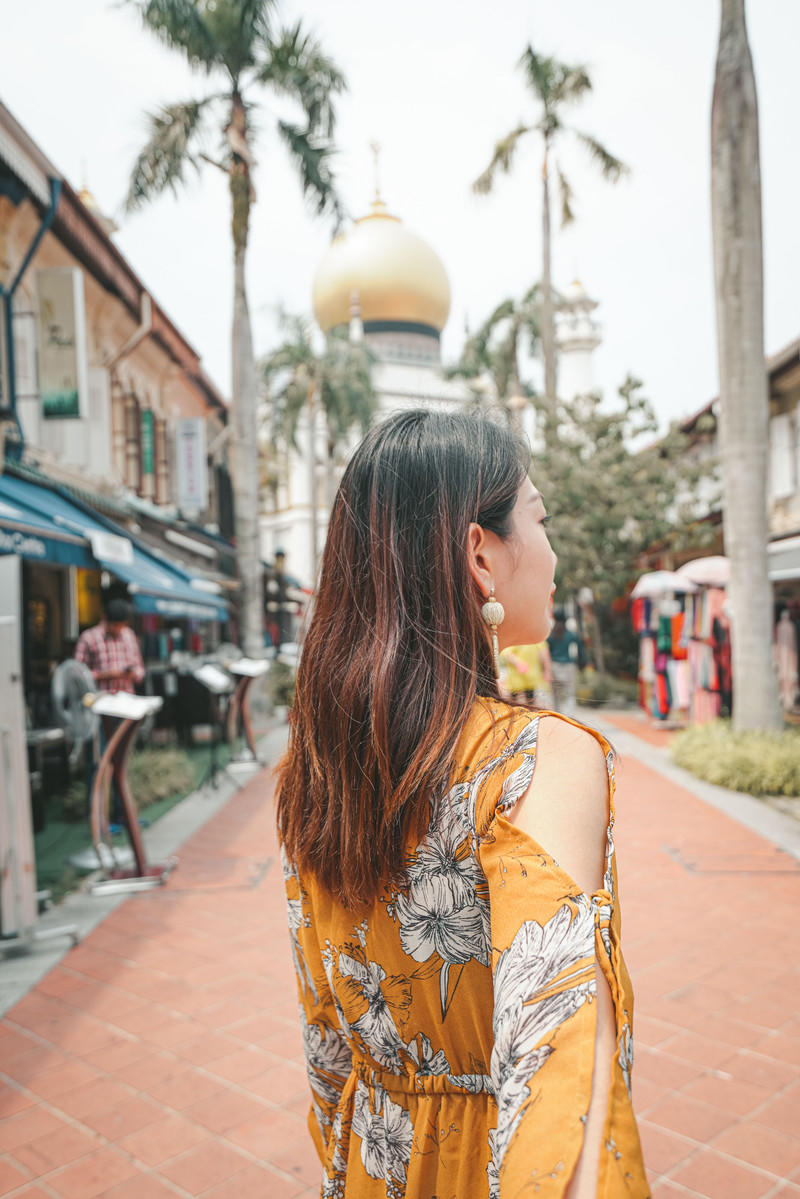 一人一猫环游,一人一猫旅行