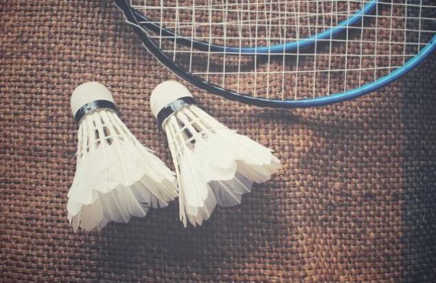 羽毛球常用网站大集合,好的羽毛球网推荐