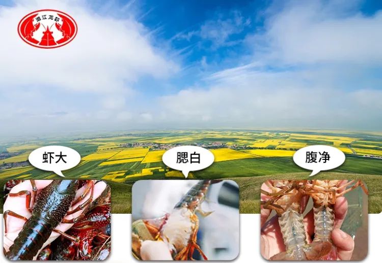 油城乡村风情,油城乡间风情