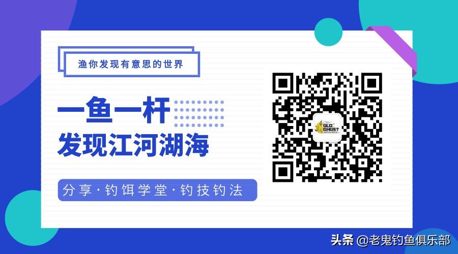 老鬼夏季大板鲫狂拉黑坑开饵视频,老鬼湖库之王狂拉大板鲫怎么样