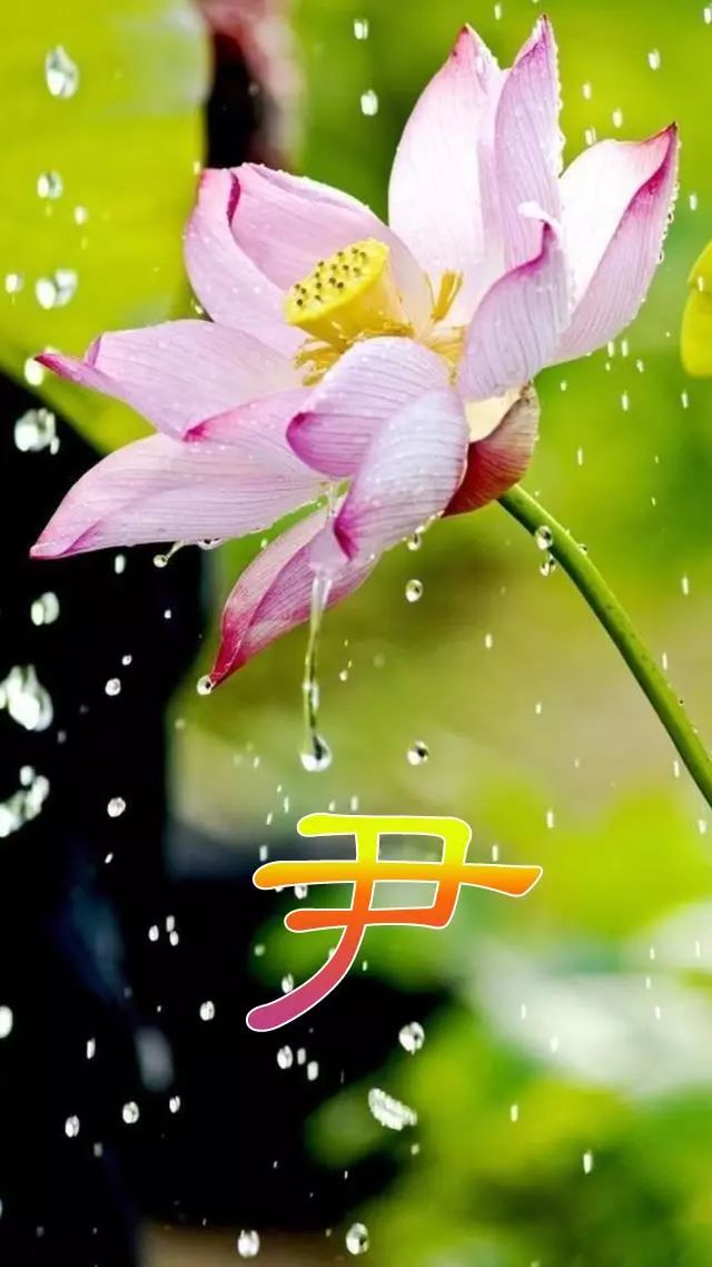 天然翡翠财字,翡翠字体图片欣赏