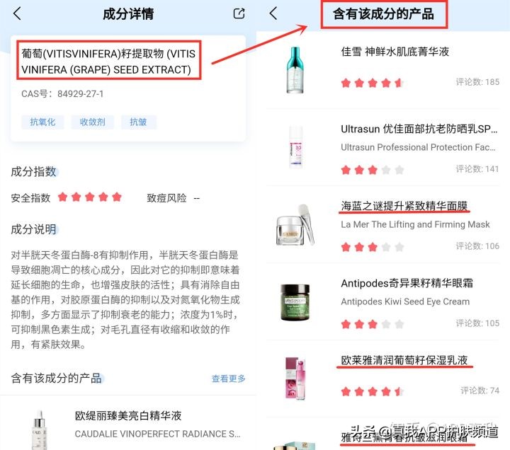 葡萄籽是骗人的吗,葡萄籽真的美白吗