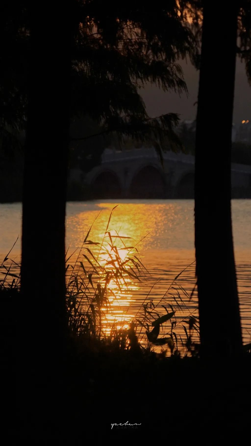 微信可爱聊天背景图壁纸,有趣的聊天背景图片壁纸