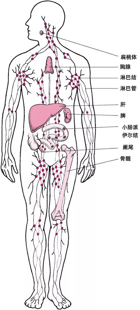 接触了别人的唾液会感染疾病吗,接触到艾滋病液就一定会感染吗