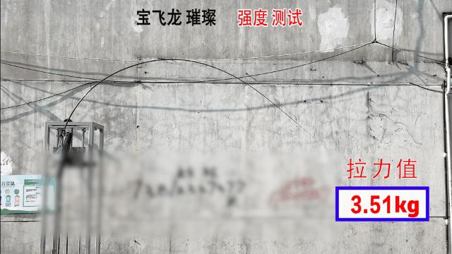 香港怡龙鱼竿和宝飞龙鱼竿哪个好,宝飞龙是不是国内生产最好的鱼竿