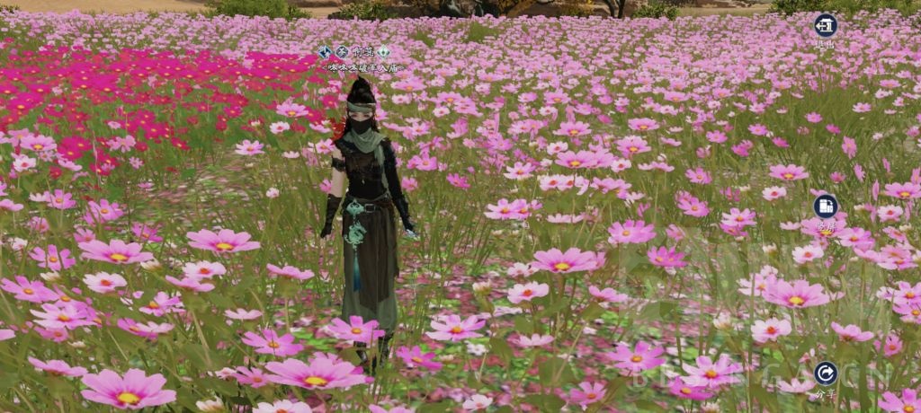 天涯明月刀手游羿思月,天涯明月刀手游云游戏