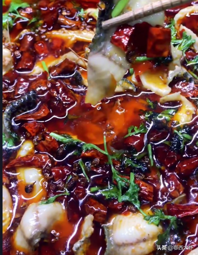 黑鱼鲫鱼的家常做法,黑鱼草鱼鲤鱼配方