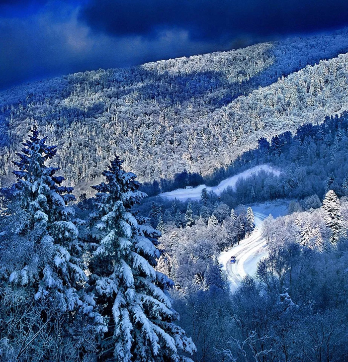 不忽悠！“拔草”吉林这些小村屯才不辜负这个冬天