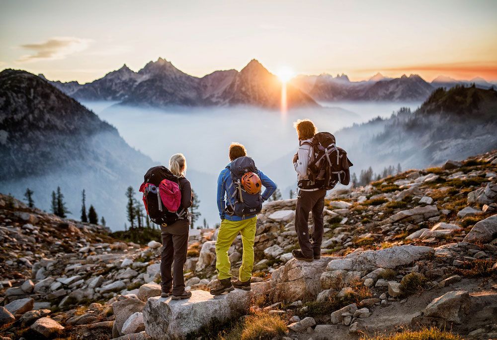 除了猪肉肠和酸菜，这个东西也是德国人的心肝宝贝