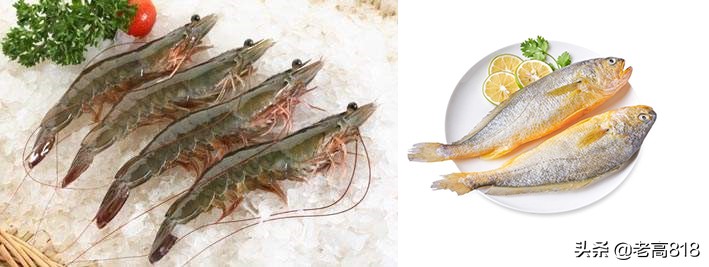 今日北塘海鲜,北塘海鲜扬帆起航